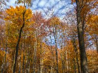 Beskid Niski